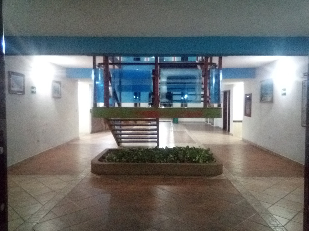 Hotel Barlovento主图