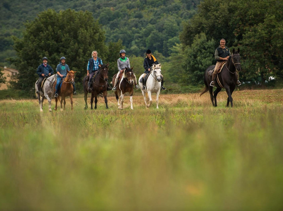 Centro Turismo Equestre Borgo Cignano景点图片