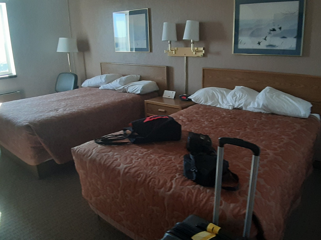 Super 8 by Wyndham Cut Bank主图