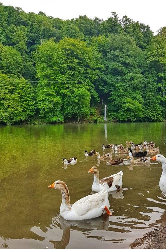 Lake Parz-Dilijan必去景点