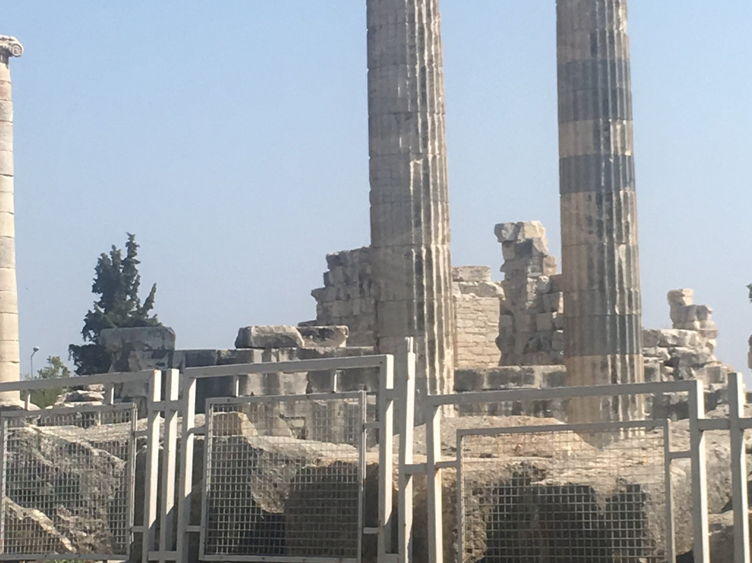 Temple of Apollo-迪迪姆必去景点