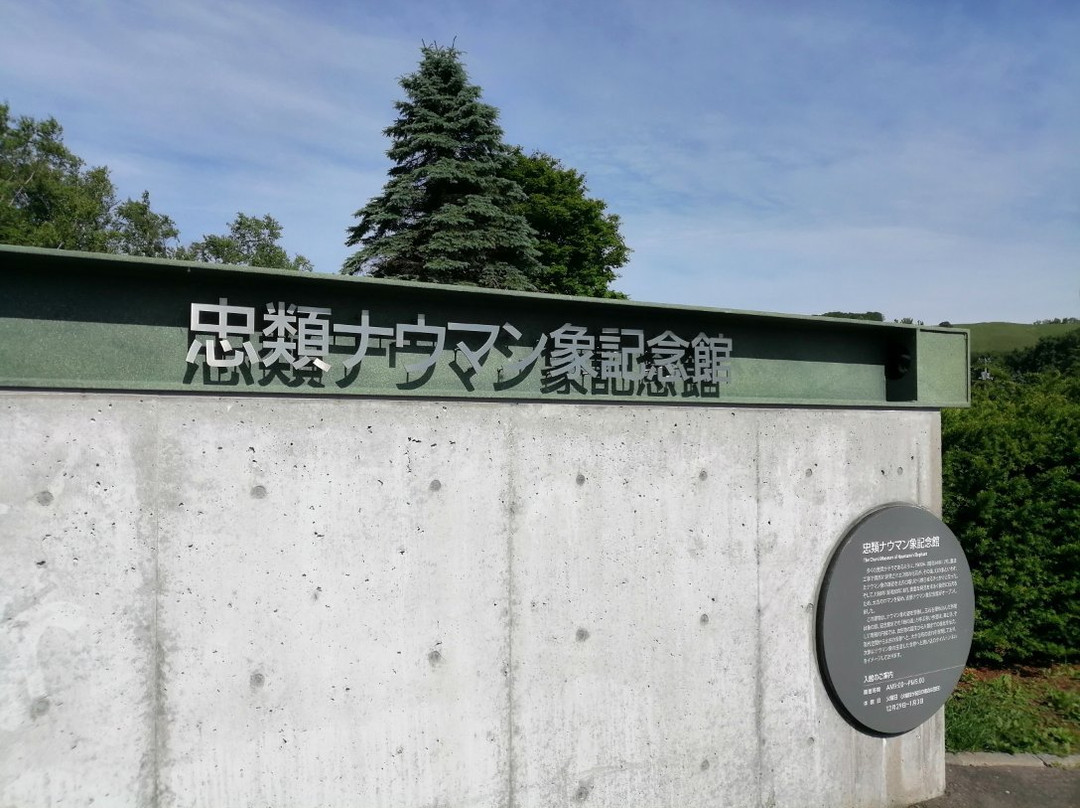 The Churui Museum of Naumann's Elephant-幕别町必去景点