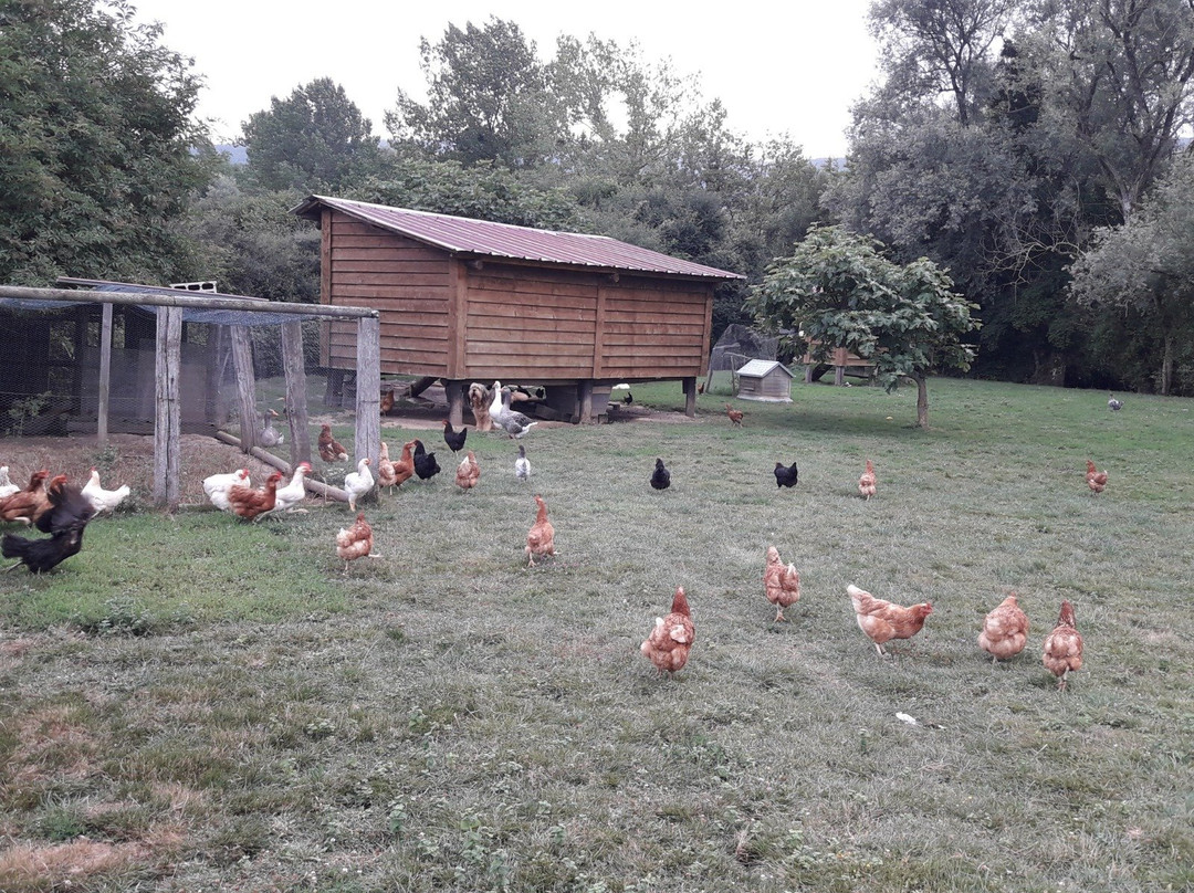 Casa Rural Flor de Vida主图