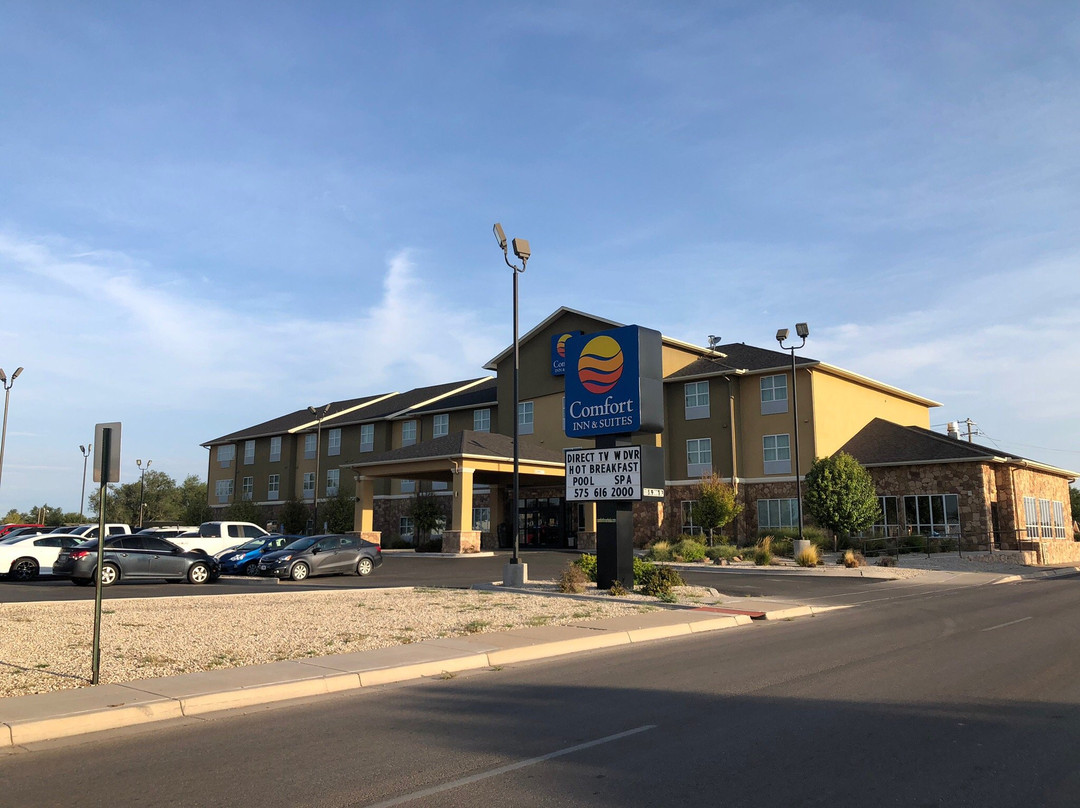 Comfort Inn & Suites主图