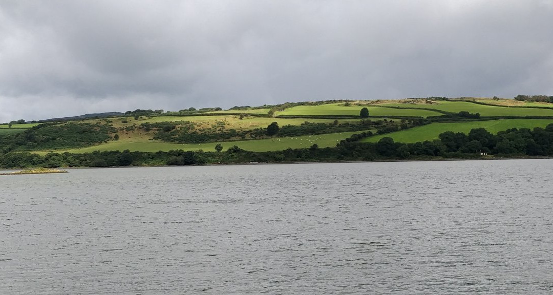 Inch Wildfowl Reserve-Burt必去景点