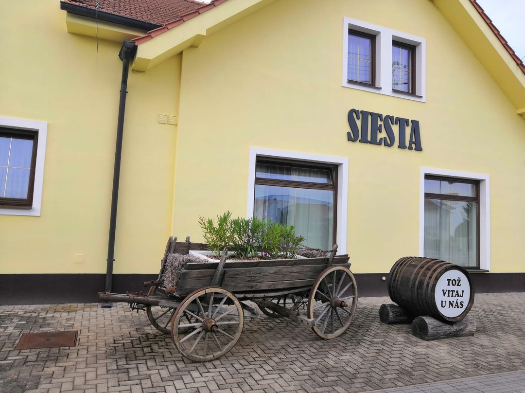 Penzion Siesta主图