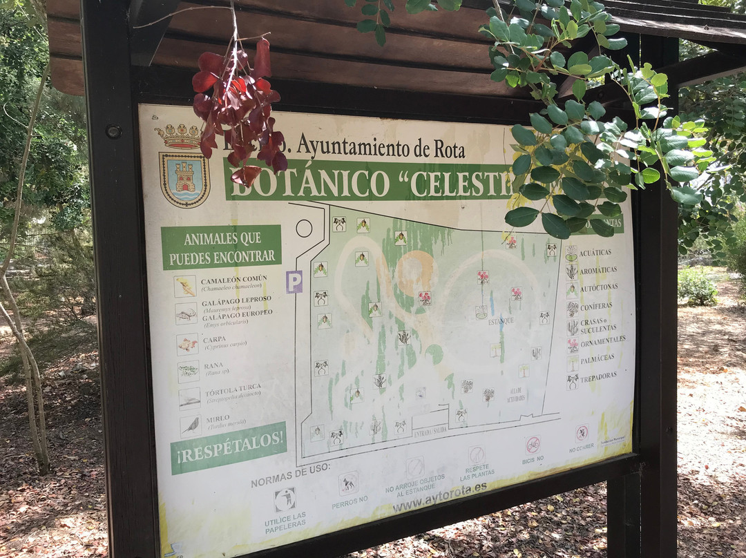 Jardín Botanico Celestino Mutis-罗塔必去景点