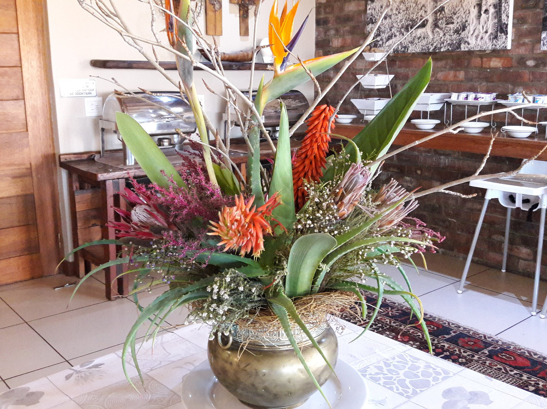 De Zeekoe Farm-奥兹洪必去景点