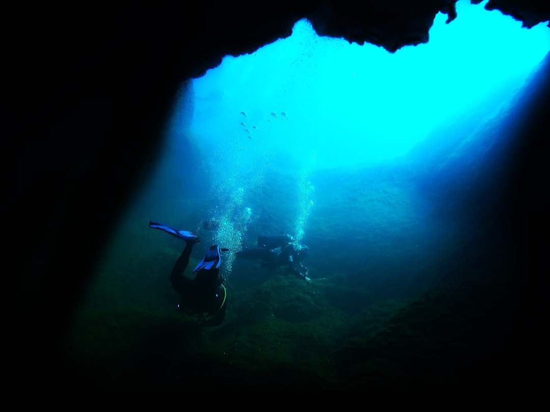 Kalamata Dive Center景点图片