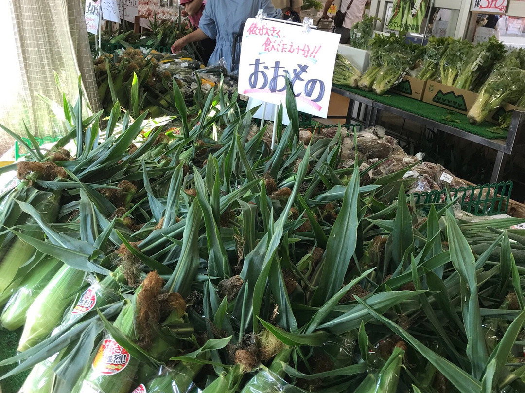 Tateshina Jiyu Noen, Haramura-原村必去景点