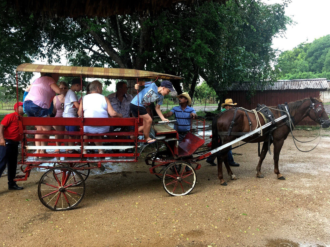 Rancho King Touristic Farm景点图片