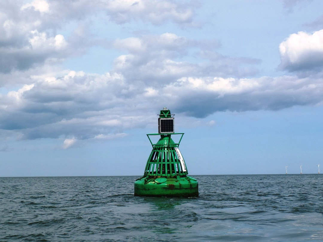 Seal Trips at Yarmouth-大雅茅斯必去景点