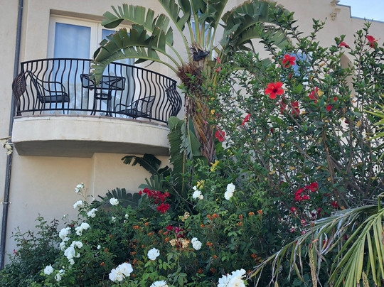 Santa Paula Inn主图