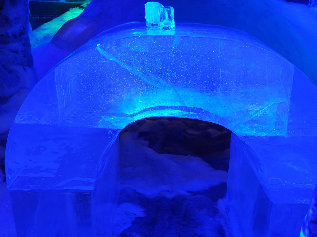 Artico Icebar-霍宁斯沃格必去景点