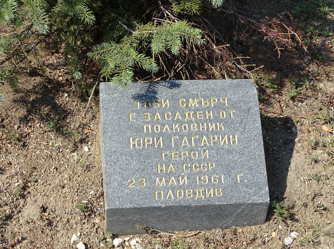 Monument to Alexandr II-普罗夫迪夫必去景点