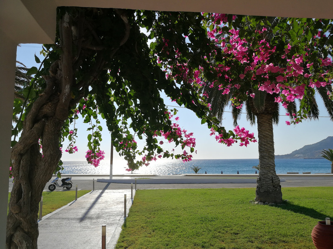 Mediterranean Hotel主图