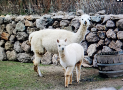 Wine Tours Valparaiso-瓦尔帕莱索必去景点