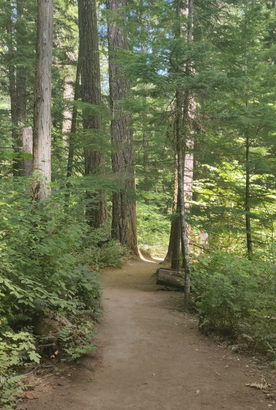 McKenzie River National Recreation Trail-尤金必去景点