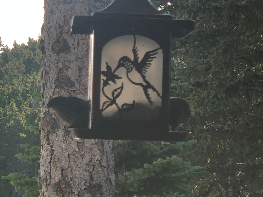 Seven Keys Lodge主图