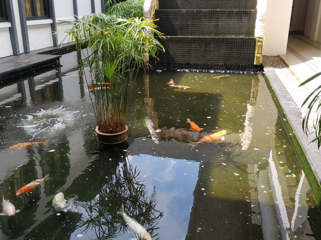 金马仑高原酒店主图