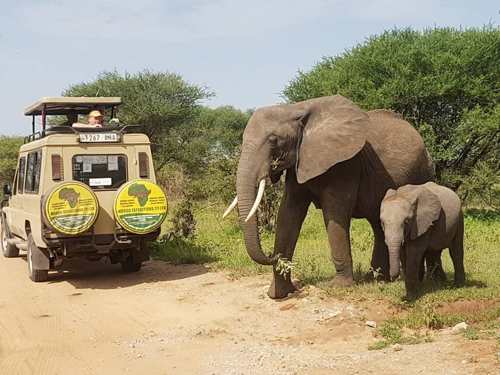 Mbogo Expeditions-阿鲁沙必去景点