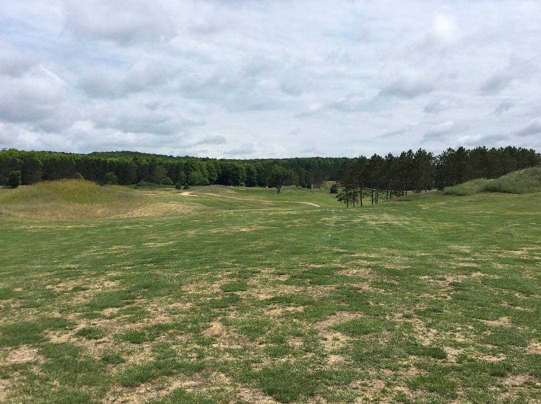 Black Bear Golf Club景点图片