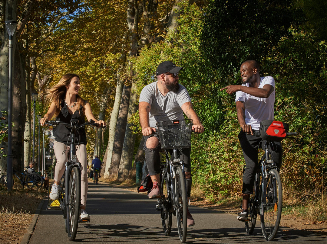 Le Canal à Vélo-图卢兹必去景点
