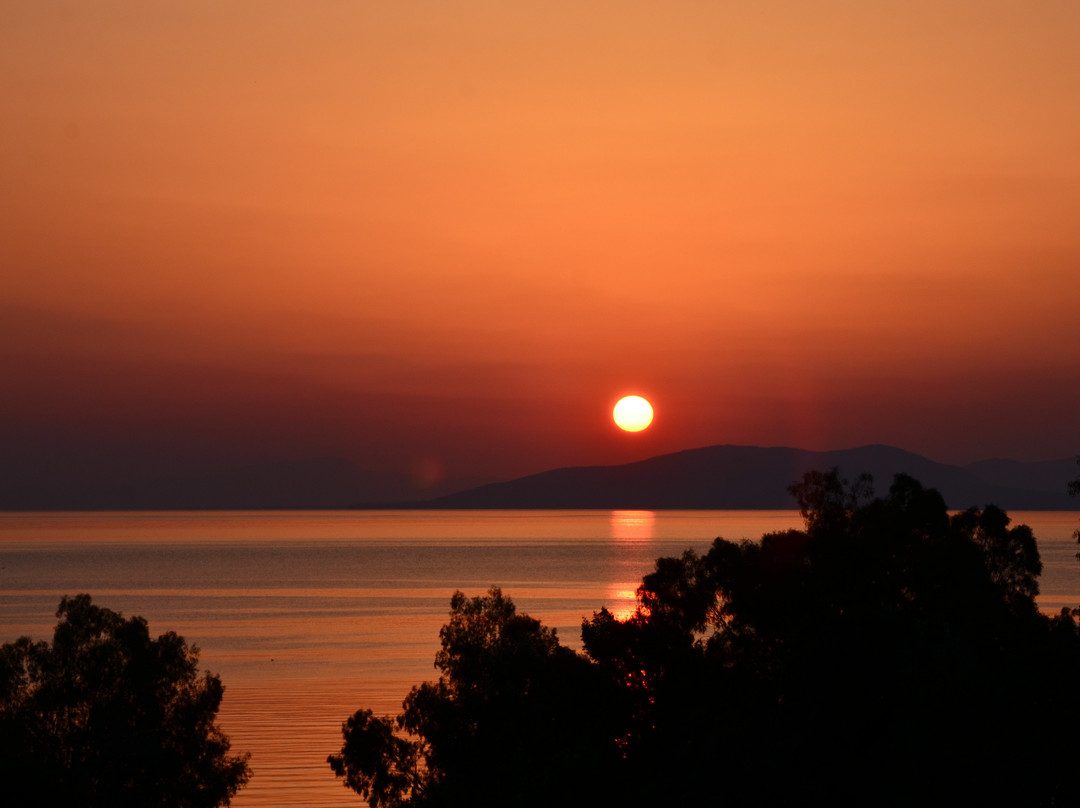 Hotel-Aristotelis主图