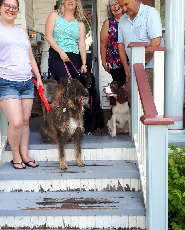 Bondy House Bed & Breakfast主图