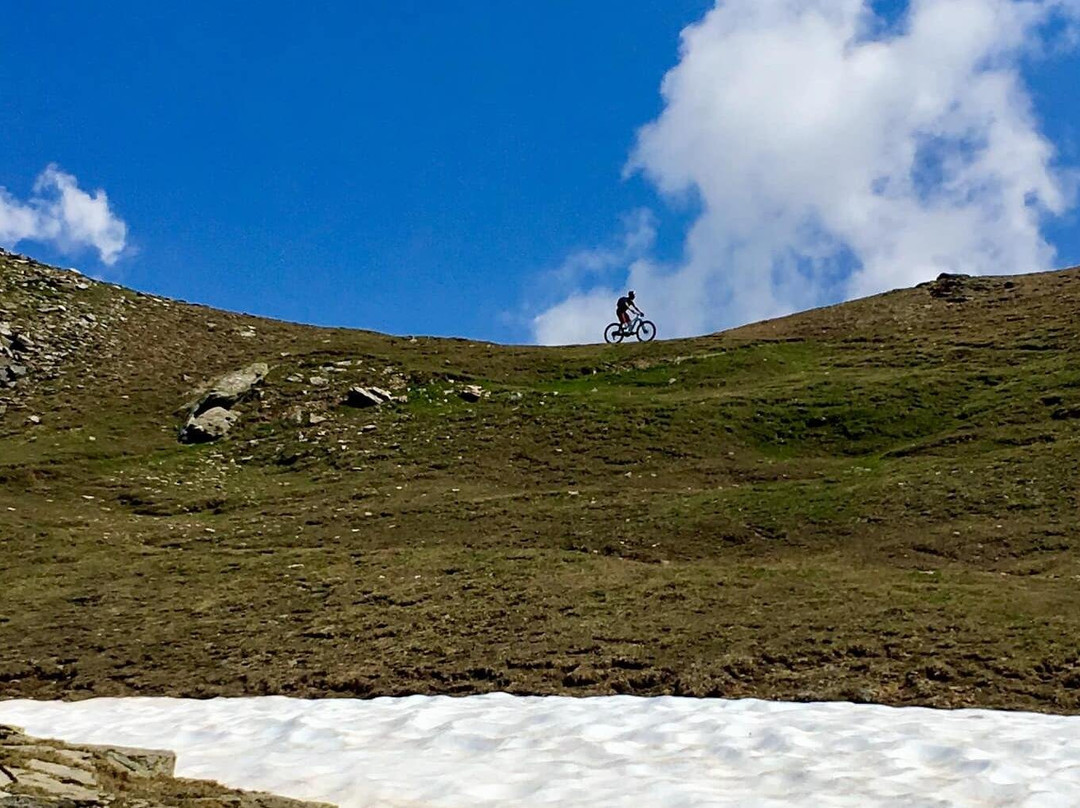 Andreis Specialized store & more-Male必去景点