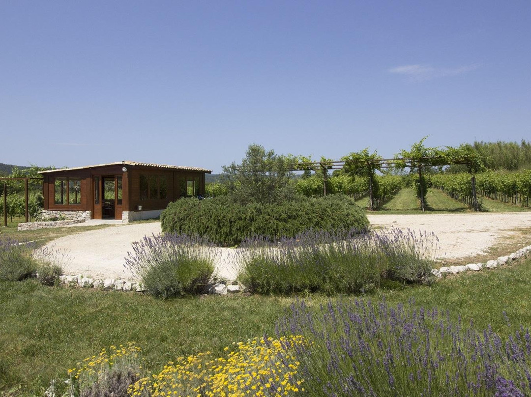 Wine Bar Vodopic景点图片