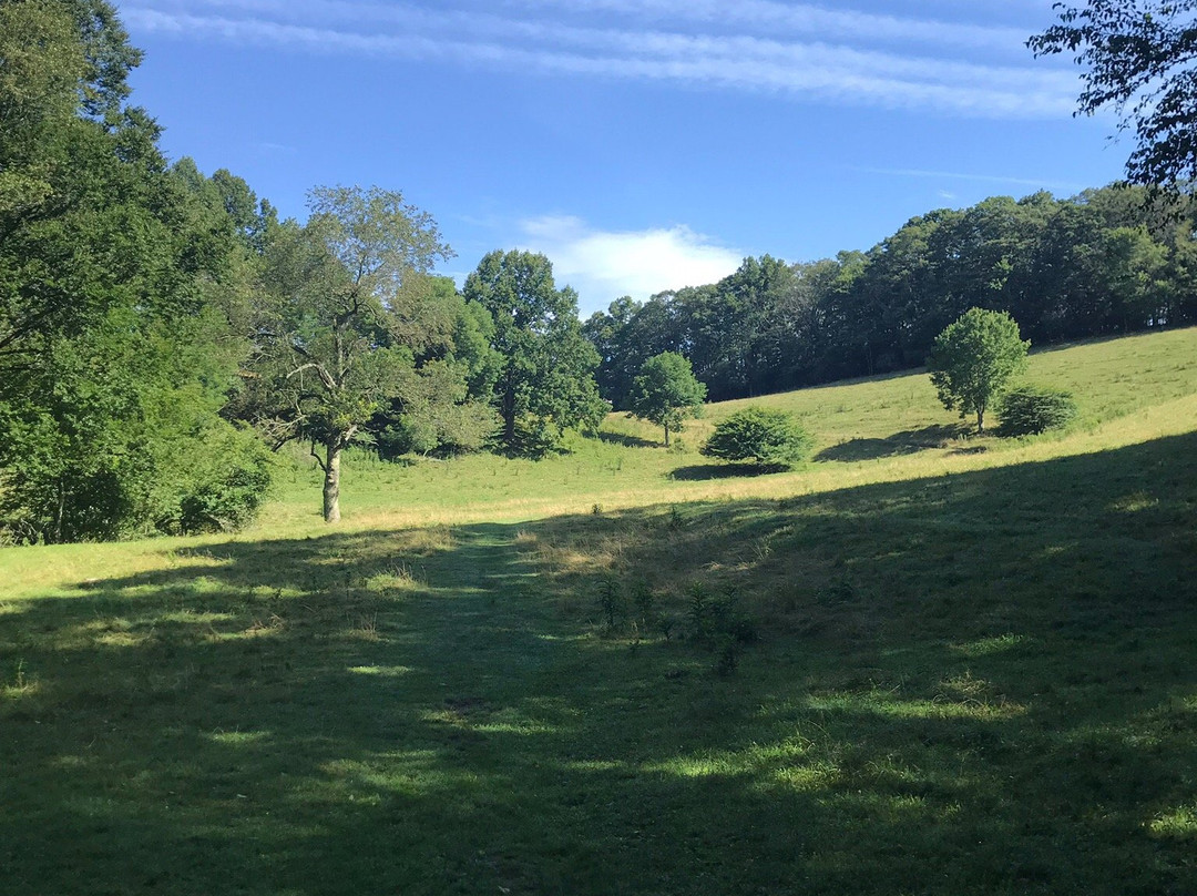 Green Knob Trail景点图片