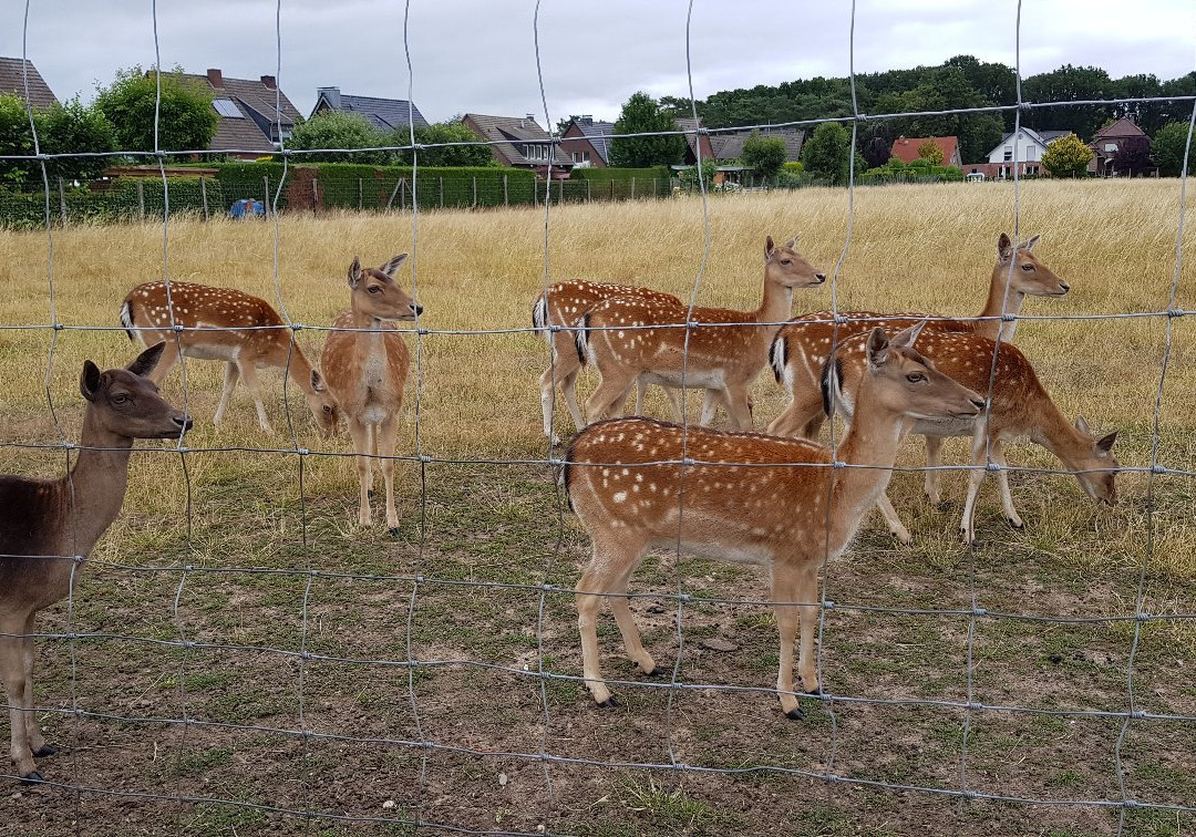 Gästehaus Drostenhof主图