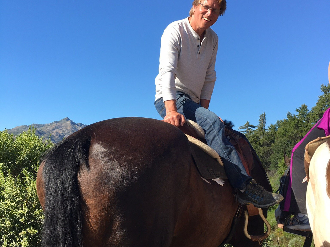 Big Sur Majestic Equine Services-大苏尔必去景点