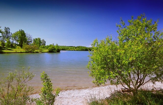 Lac de la Thesauque景点图片