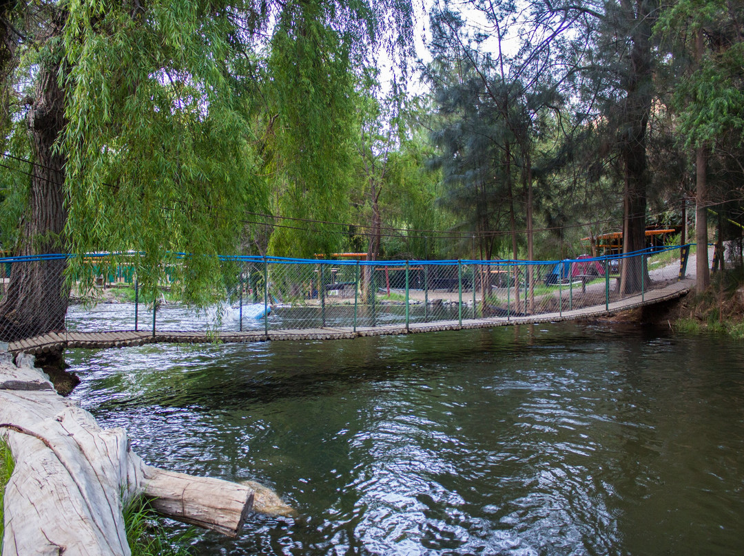 Camping Paihuano