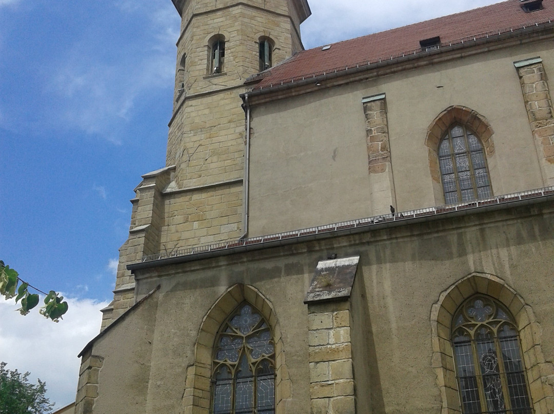 Bazylika św. Erazma i św. Pankracego w Jeleniej Górze景点图片