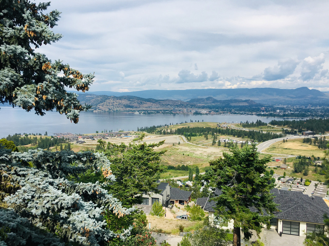 A View of the Lake B & B主图