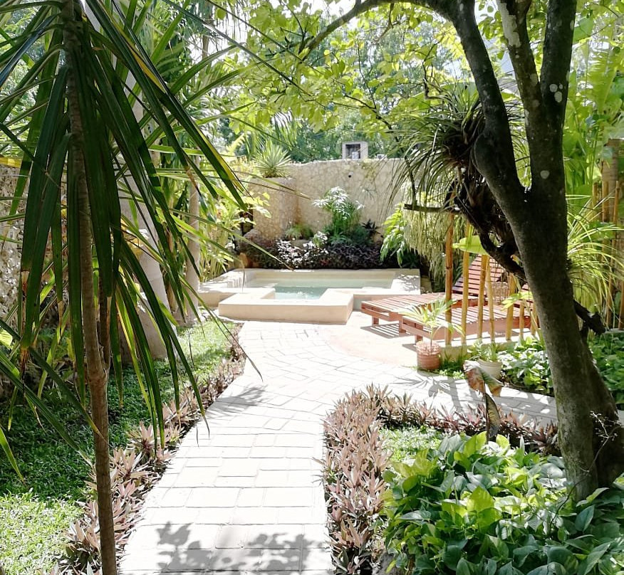 Casa Tía Micha主图