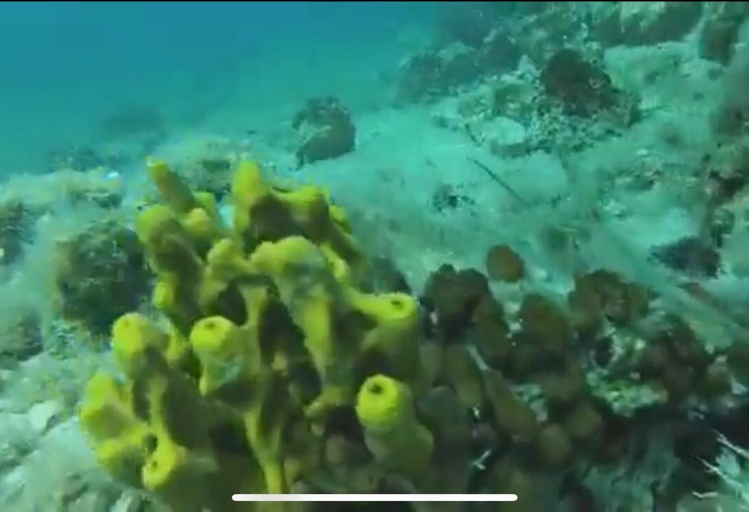 Scuba Diving Center-Vir必去景点