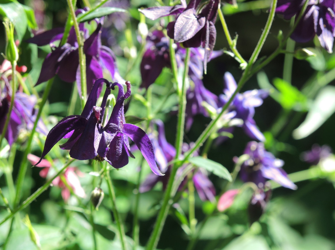 Batyushkovy-Kuprin's Estate Museum-Danilovskoye必去景点