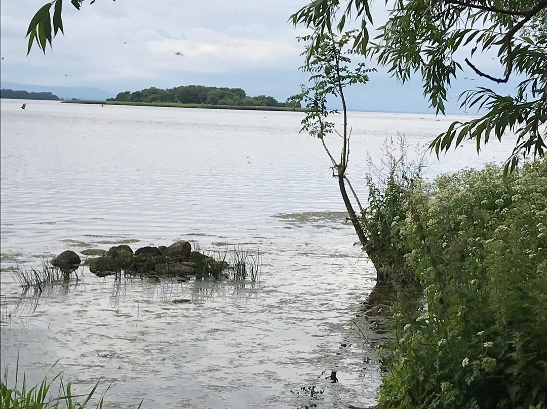 Lough Neagh Discovery Centre景点图片