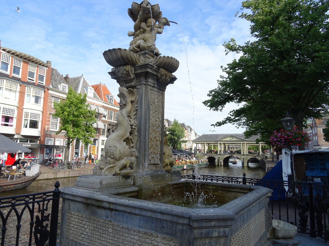 Vismarktfontein-莱顿必去景点