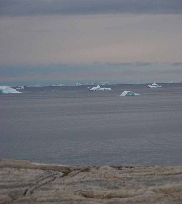 Hotel Diskobay主图