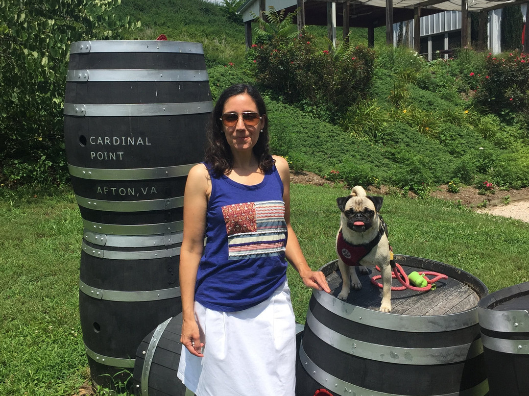 Cardinal Point Vineyard and Winery-Afton必去景点