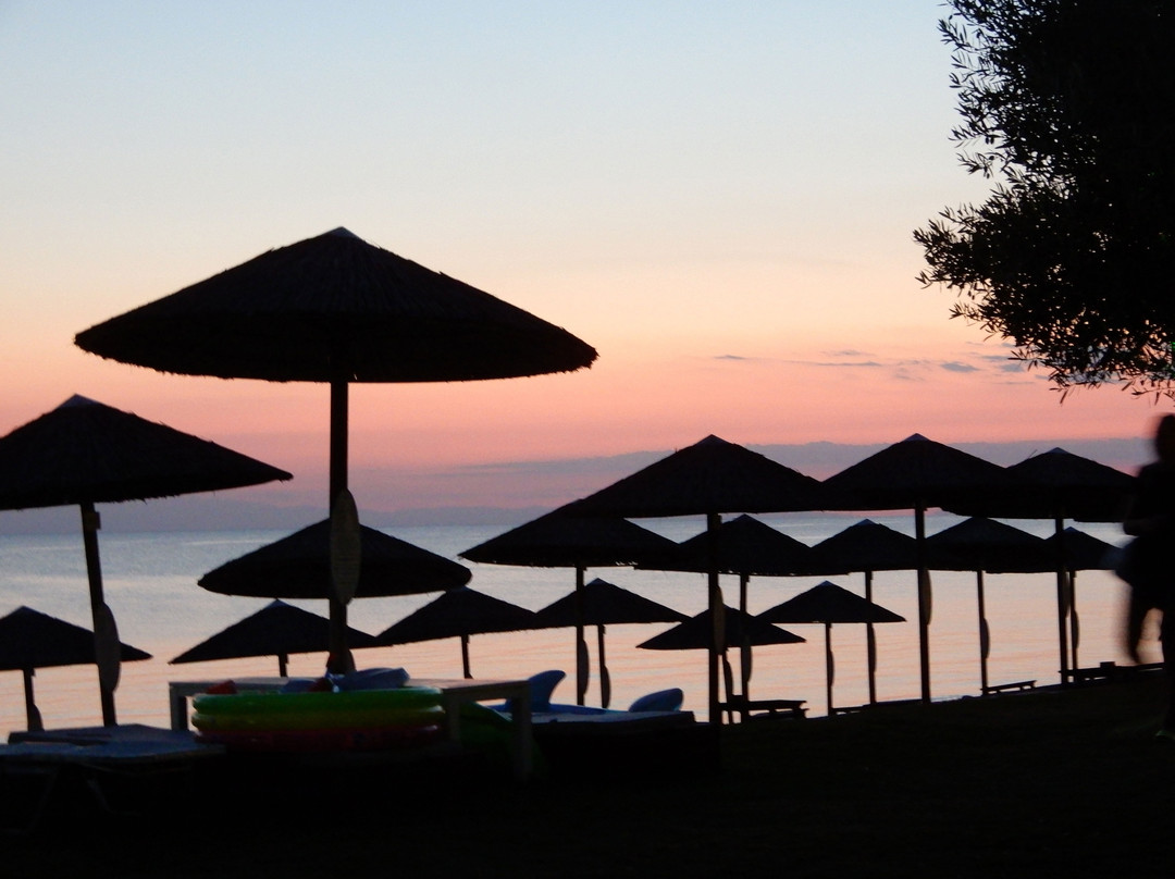 Olympion Sunset主图