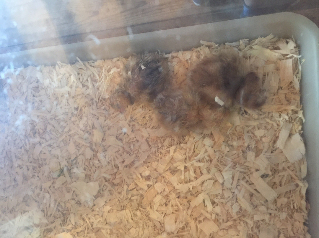 South County Museum And School Of Craft-纳拉干西特必去景点