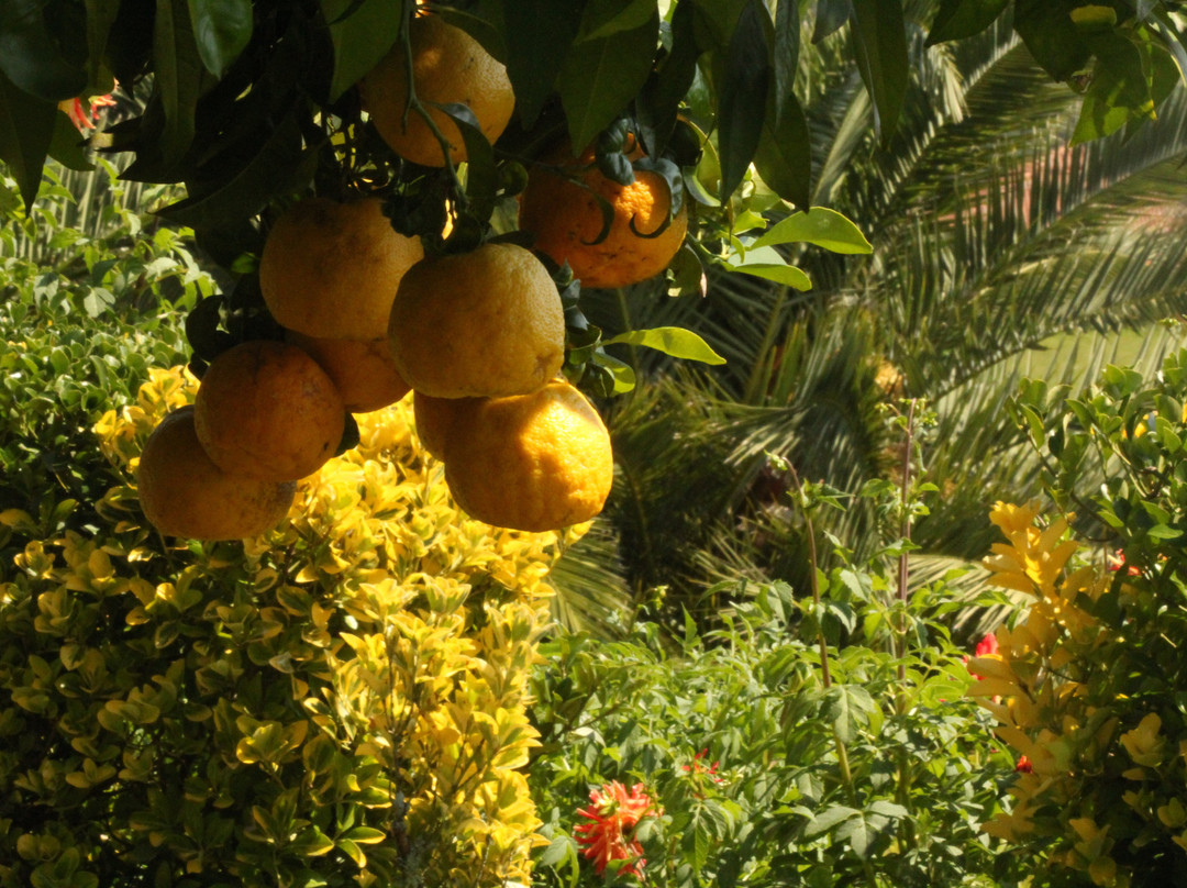 Quinta de Favaes主图