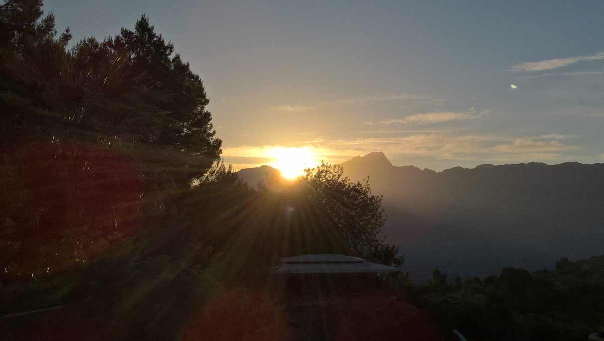 Finca Hotel Son Bleda-酒店景观