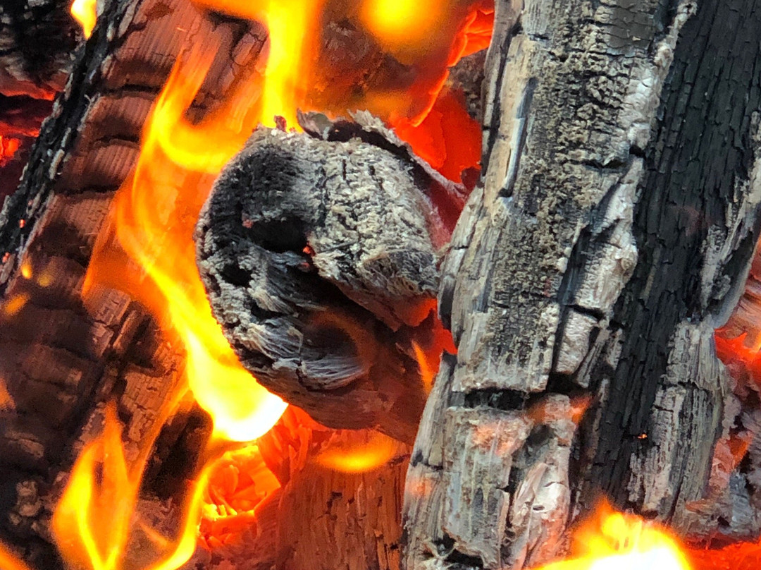 Amherst Shore Provincial Park-Northport必去景点